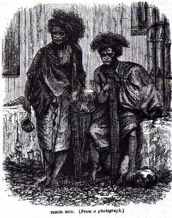 timorpapuan