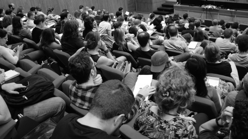 A Proteção dos Direitos Fundamentais: entre a lei e a prática