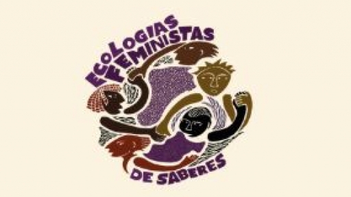 Ecologias Feministas de Saberes