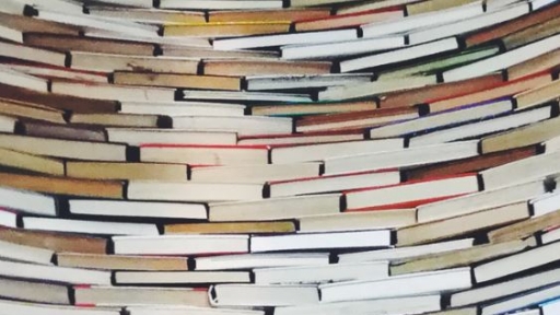 Endangered Citizenship: Crime, End of the World and Biopolitics in Postcolonial Literatures and Cinema