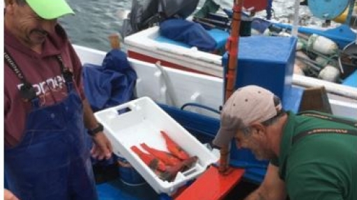 CES supports social and environmental sustainability project Photo-narratives from small-scale fishing in the Azores Islands