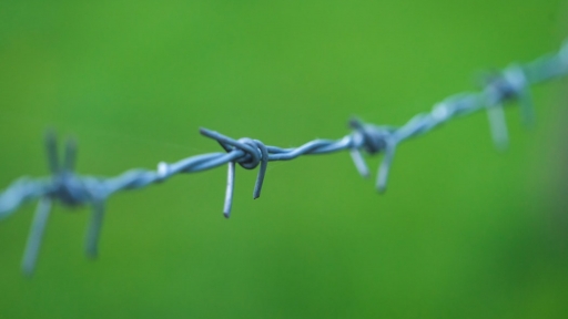 The Crisis and the Challenges of Democracy