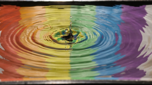Making a Difference: the Hope and Promise of Sexuality Studies