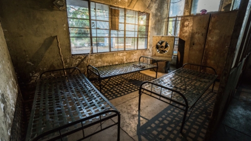 «The coronavirus and memorires from the end of the world» by Bruno Sena Martins