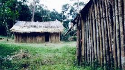 Oguatá/Atagbá: Caminhando com novas conversas pelas vias das Epistemologias do Sul | Sessão II
