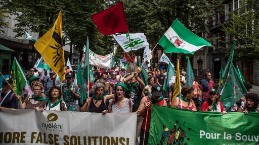 Just Food Transitions: Addressing the Peasant Question in Europe