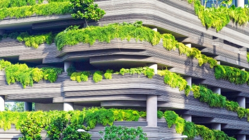 CES/UC coordena projeto sobre Pacto Ecológico Europeu