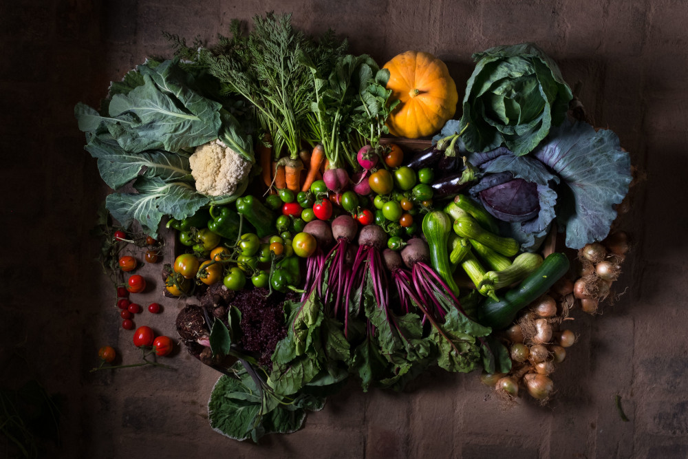 O Direito Humano à Alimentação e Nutrição Adequadas – DHANA
