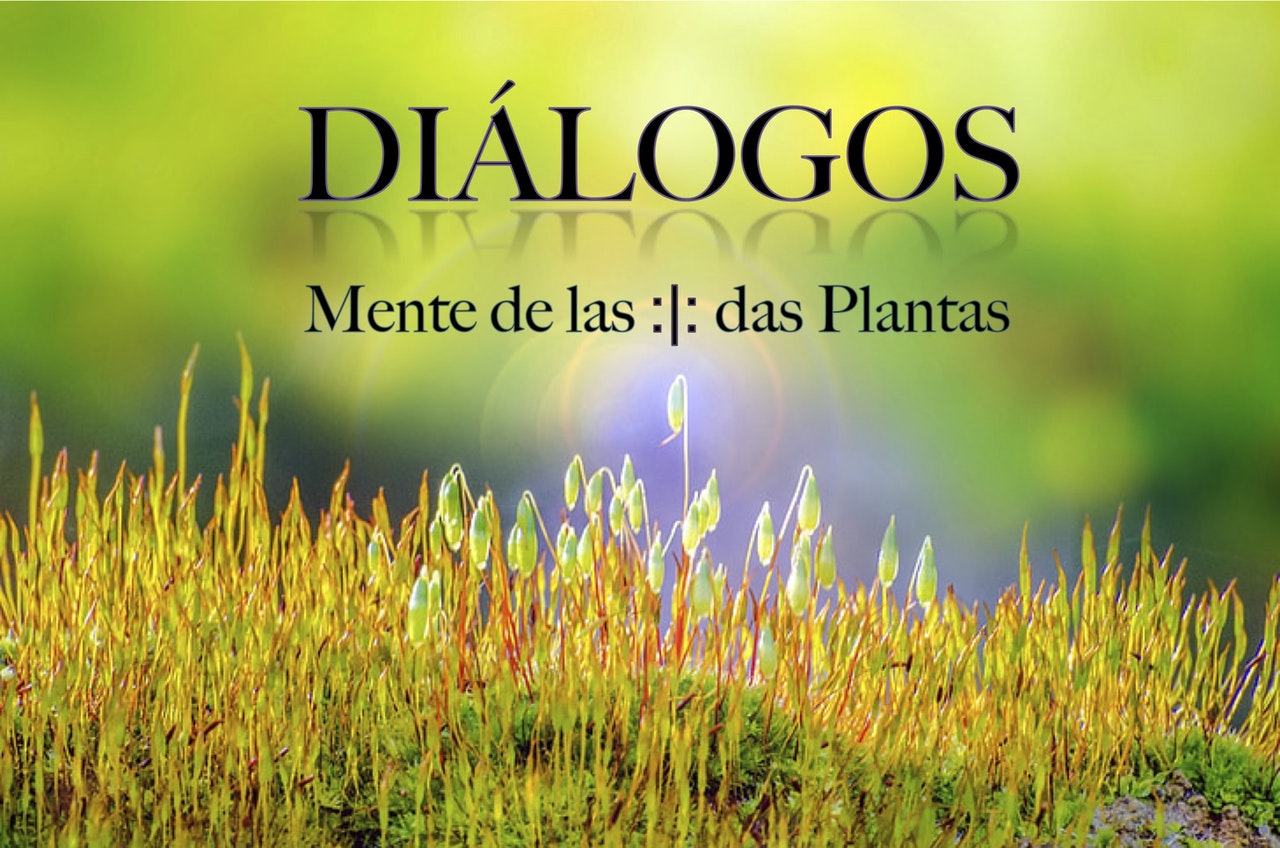 Dialogues: The Mind of Plants<span id="edit_34752"><script>$(function() { $('#edit_34752').load( "/myces/user/editobj.php?tipo=evento&id=34752" ); });</script></span>