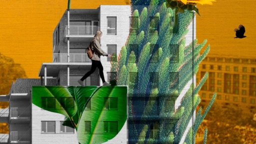 Cidades inclusivas e natureza: diálogo Brasil-Europa