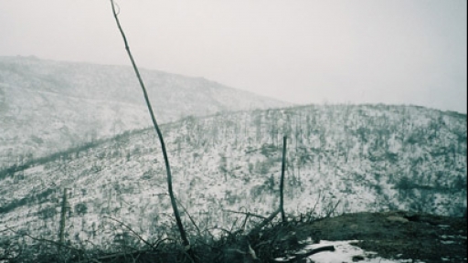 Ontologias do Antropoceno em Portugal: crise climática, respostas sociopolíticas e tecnologias emergentes