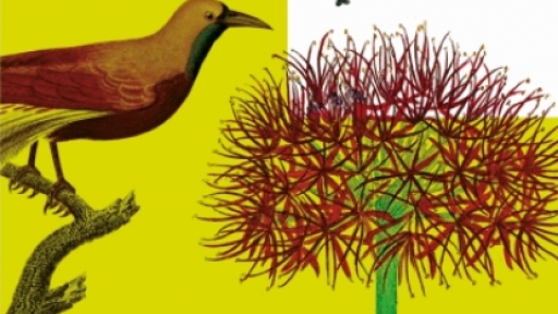 Environments: Ecologies and (In)hospitalities