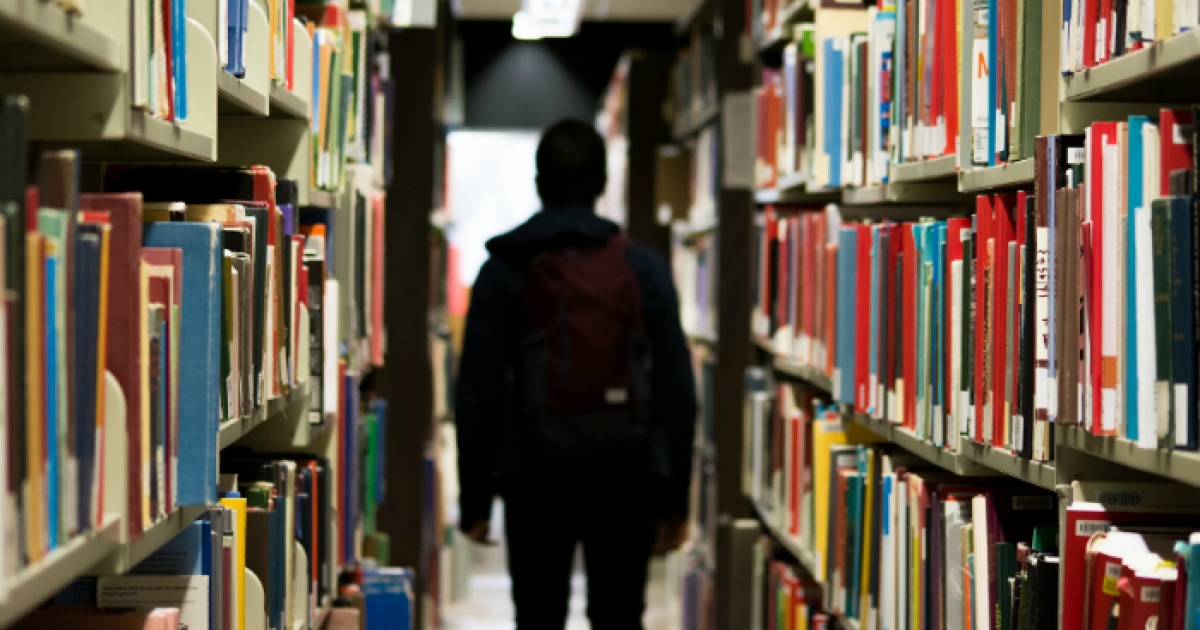 Individual Call to Scientific Employment Stimulus - 5th Edition