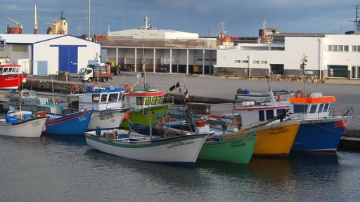 Creative Tourism, Regenerative Development, and Destination Resilience