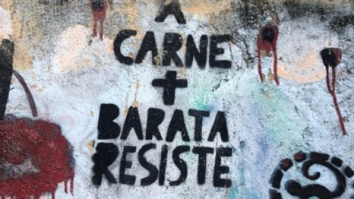 Resistências anticoloniais e racismo institucional