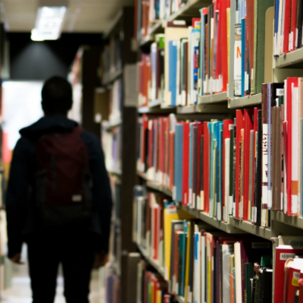 Concurso “Estímulo ao Emprego Científico Individual - 8.ª Edição" 