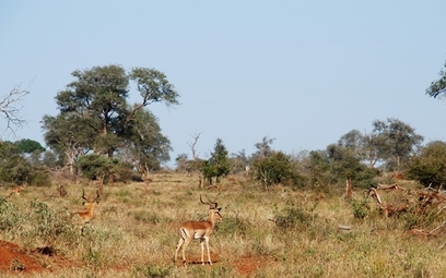 Ecosystems Detectives <span id="edit_17319"><script>$(function() { $('#edit_17319').load( "/myces/user/editobj.php?tipo=evento&id=17319" ); });</script></span>