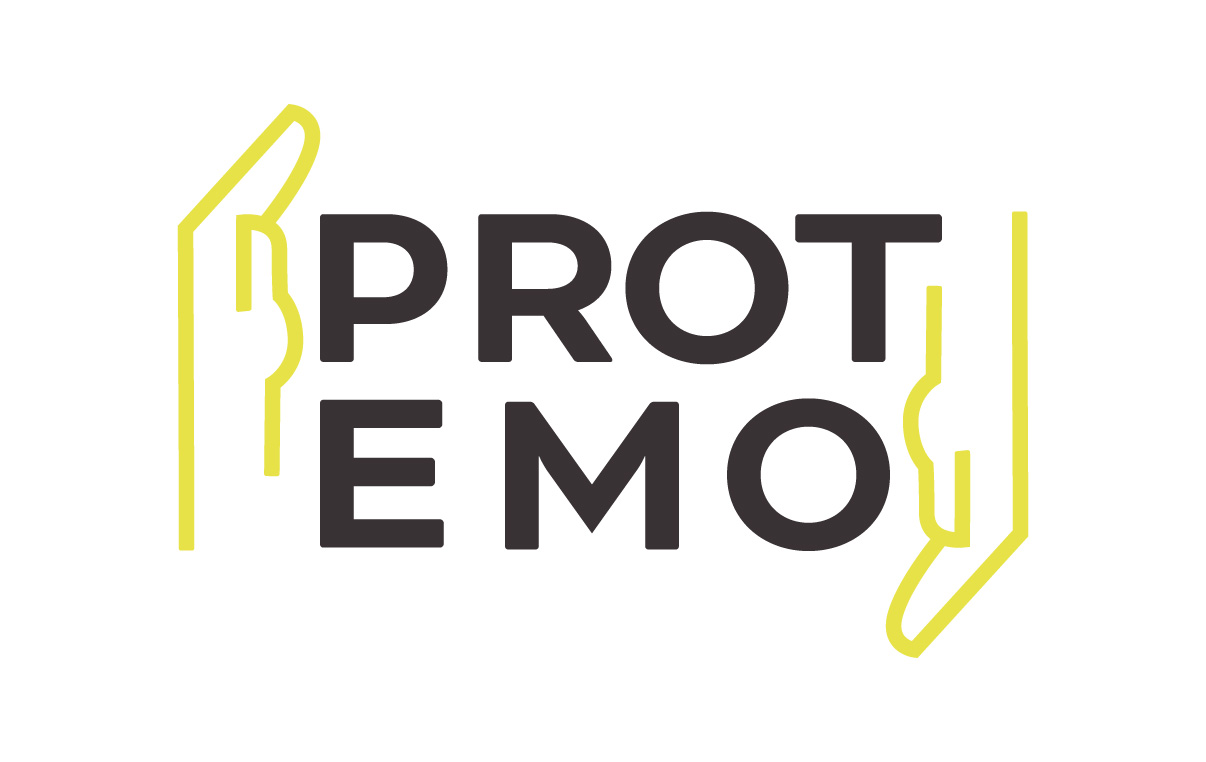 PROTEMO <br>Emotional dynamics of protective policies in an age of insecurity