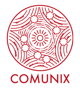 COMUNIX <br>Active Youth Participation in Governance in Community Areas