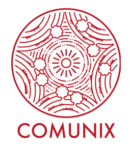 COMUNIX <br>Participação ativa de jovens na governação de áreas comunitárias